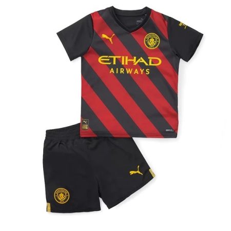 Camisola Manchester City Criança Equipamento Alternativa 2021-22